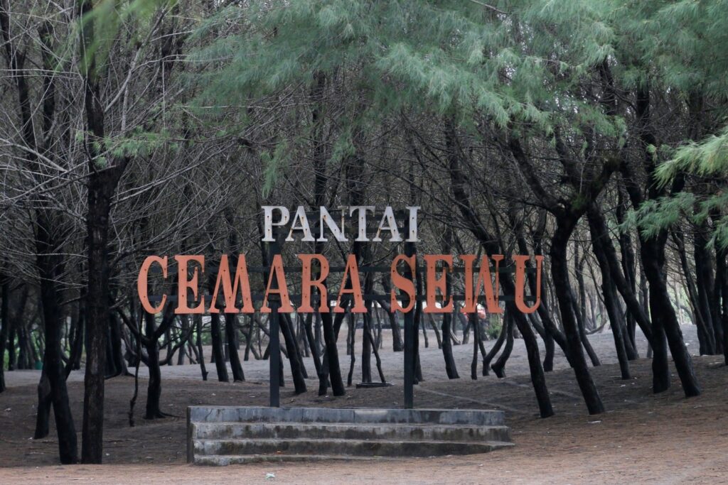 Pantai Cemara Sewu Yogya