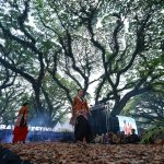 Banyuwangi Batik Festival 2024