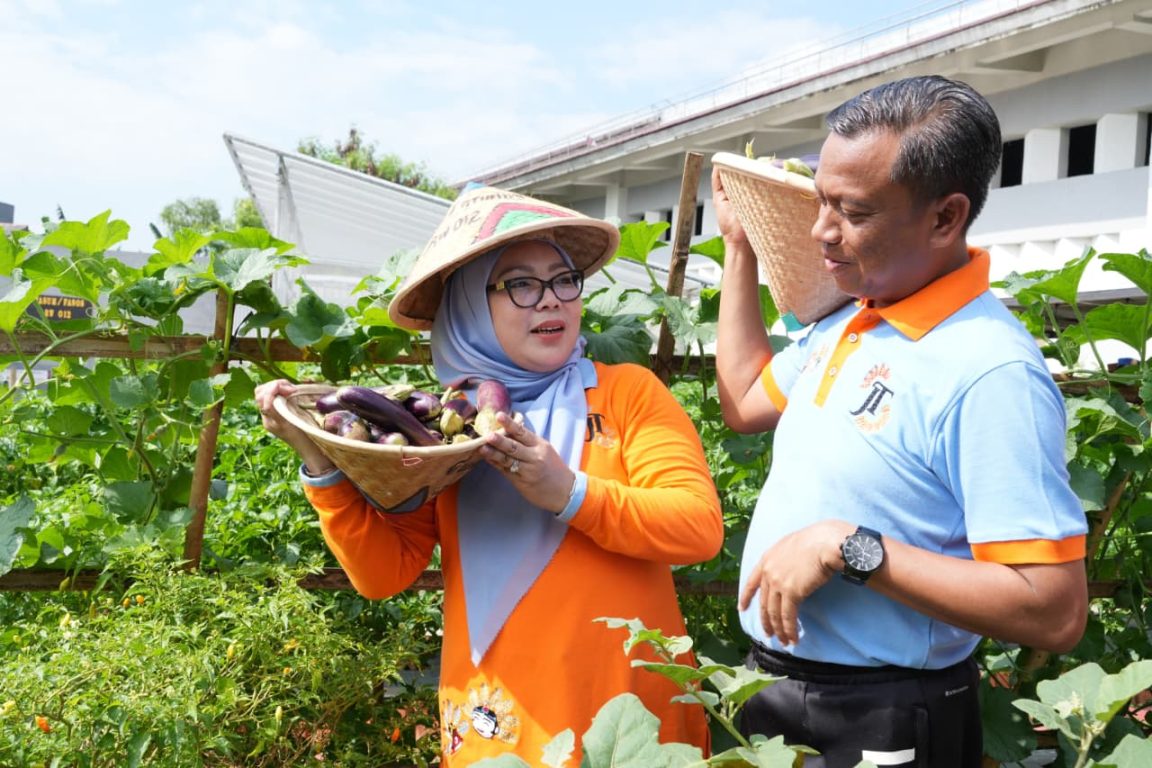 Panen melon kedua di Cipinang Melayu capai kualitas premium. Pemkot Jaktim dorong urban farming hadapi ancaman El Nino.