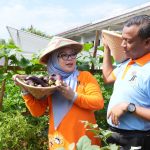 Panen melon kedua di Cipinang Melayu capai kualitas premium. Pemkot Jaktim dorong urban farming hadapi ancaman El Nino.