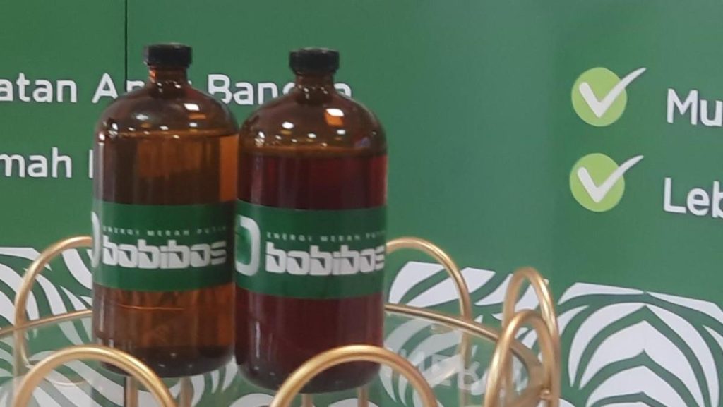 BOBIBOS, bahan bakar dari jerami padi, hadir sebagai inovasi energi terbarukan sekaligus media pembelajaran sains di Indonesia.