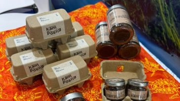 Batik dan sambal Indonesia tampil di ICIF Shenzhen sebagai simbol perpaduan budaya Tionghoa-Indonesia lintas generasi.