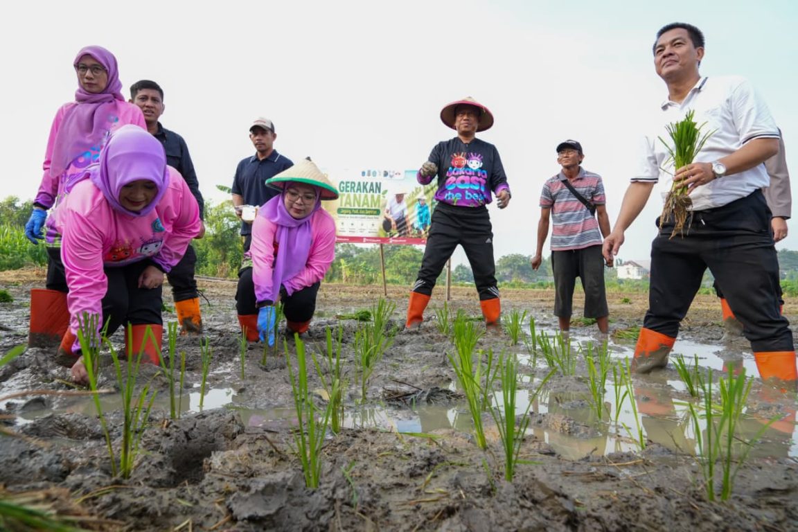 Pemkot Jaktim dan TP PKK tanam jagung, padi, dan sayuran di 162 titik untuk memperkuat ketahanan pangan masyarakat.
