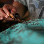 Kisah pemberdayaan masyarakat Desa Tirto Pekalongan melalui batik tulis yang melestarikan budaya sekaligus membuka peluang ekonomi.