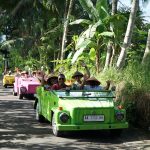Kemenpar mengajak 22 agen perjalanan dunia menjelajahi destinasi unggulan Indonesia melalui Mega FAM Trip 2026 bertema #GoBeyondOrdinary.