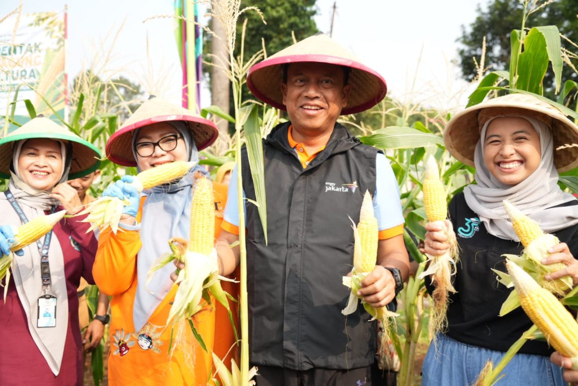 Pemkot Jaktim panen 1,1 ton jagung dan sayuran dari 191 titik urban farming untuk memperkuat ketahanan pangan keluarga.