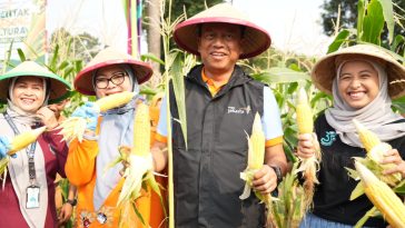 Pemkot Jaktim panen 1,1 ton jagung dan sayuran dari 191 titik urban farming untuk memperkuat ketahanan pangan keluarga.