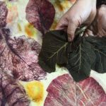 Batik ecoprint menggunakan warna tumbuhan dan buah Keben sebagai alternatif dalam penciptaan karya tekstil berbasis bahan alam.