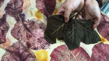 Batik ecoprint menggunakan warna tumbuhan dan buah Keben sebagai alternatif dalam penciptaan karya tekstil berbasis bahan alam.
