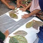Batik daun jati dimanfaatkan sebagai sumber warna dan motif selendang melalui teknik batik tulis dan ecoprint dengan pewarna alam sekitar.