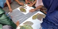 Batik daun jati dimanfaatkan sebagai sumber warna dan motif selendang melalui teknik batik tulis dan ecoprint dengan pewarna alam sekitar.