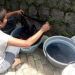 Pewarna batik Remazol membentuk warna cerah pada Batik Tulis Candi yang mengembangkan motif lokal seperti Jaduran dan Porang.