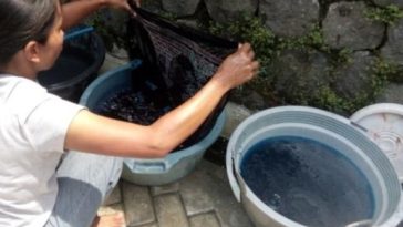 Pewarna batik Remazol membentuk warna cerah pada Batik Tulis Candi yang mengembangkan motif lokal seperti Jaduran dan Porang.