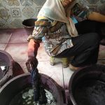 Teknik pewarnaan batik berbasis daun jati, jarak wulung, dan marenggo menghasilkan warna alami melalui ekstraksi, pencelupan, dan fiksasi.
