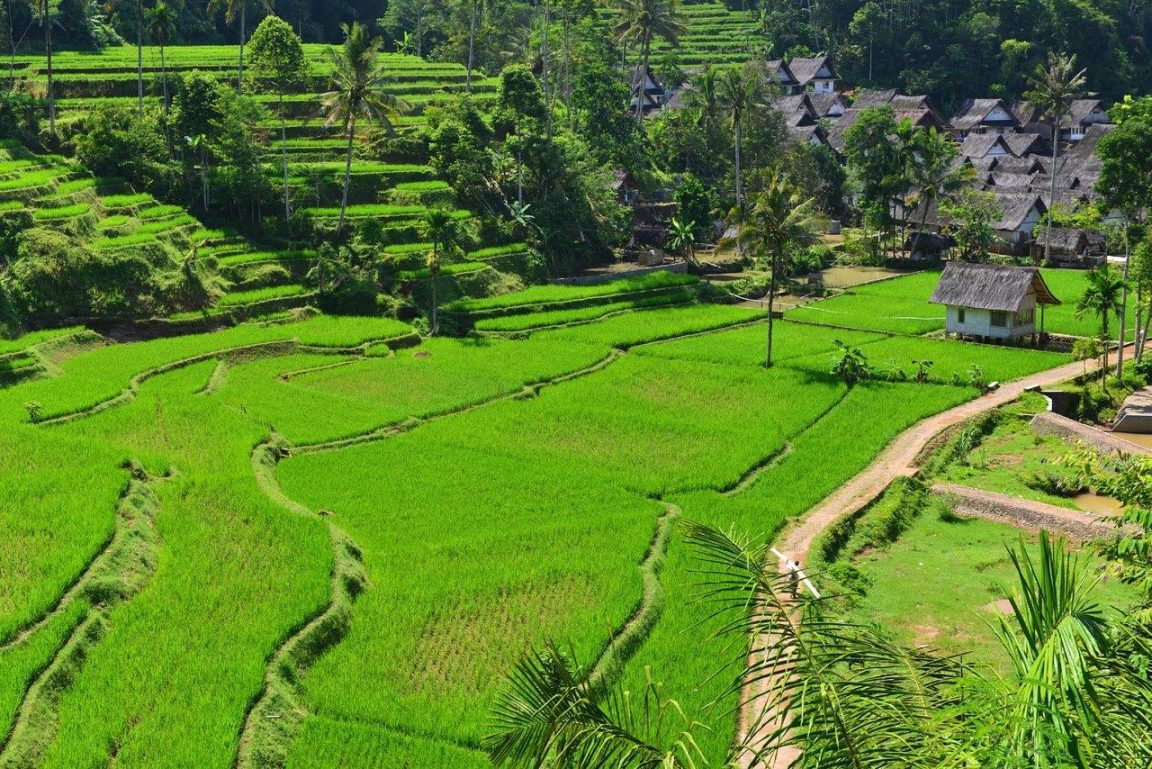 Kearifan lokal menjadi bagian penting budaya Indonesia, menyimpan pengetahuan masyarakat, memperkuat identitas, dan mendukung pelestarian lingkungan.