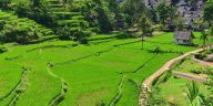 Kearifan lokal menjadi bagian penting budaya Indonesia, menyimpan pengetahuan masyarakat, memperkuat identitas, dan mendukung pelestarian lingkungan.
