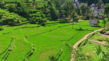 Kearifan lokal menjadi bagian penting budaya Indonesia, menyimpan pengetahuan masyarakat, memperkuat identitas, dan mendukung pelestarian lingkungan.