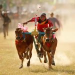 Budaya Indonesia hadir melalui filosofi ketupat dan Karapan Sapi Madura. Kenali sejarah, makna, serta potensi tradisi Nusantara mendunia.